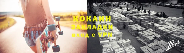 мдпв Болотное