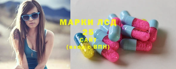 ECSTASY Новодвинск