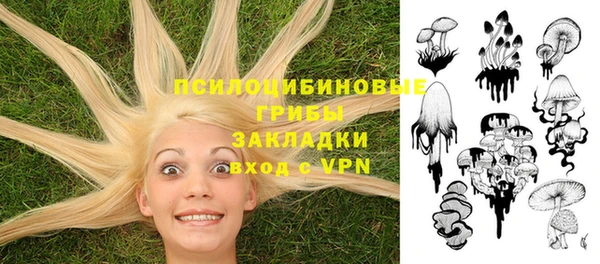 метадон Новозыбков