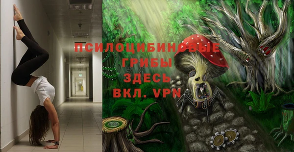 мдпв Нефтегорск