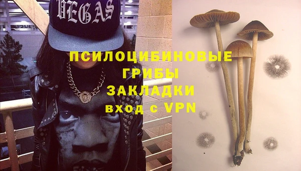 ECSTASY Новодвинск