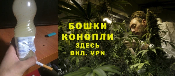 ECSTASY Новодвинск