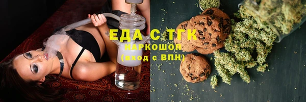 индика Болохово