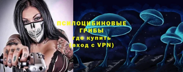 ECSTASY Новодвинск