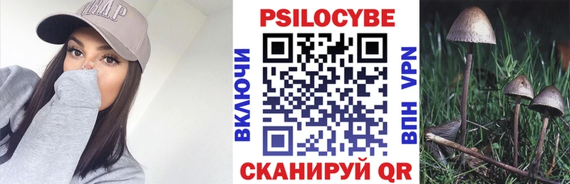 хочу   Нюрба  MEGA ССЫЛКА  Галлюциногенные грибы мицелий 